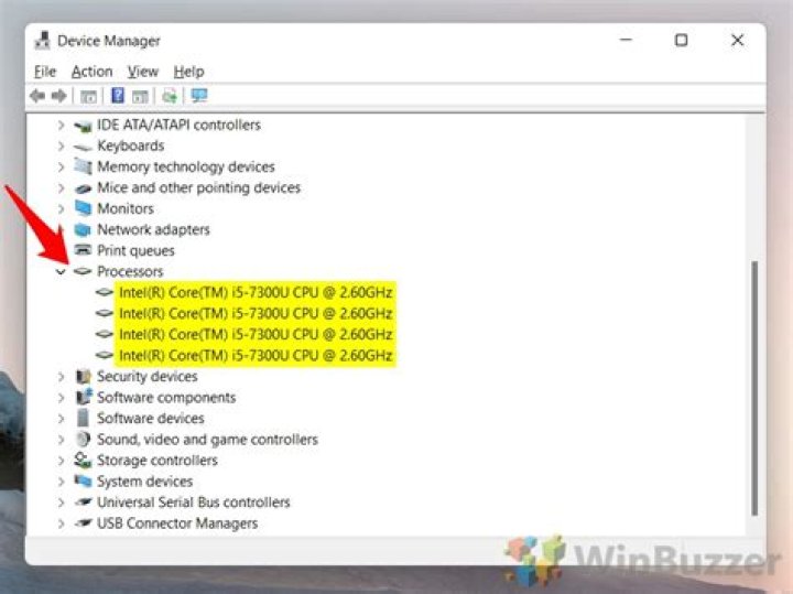 What is DEP, and how do I find out if my processor supports it?