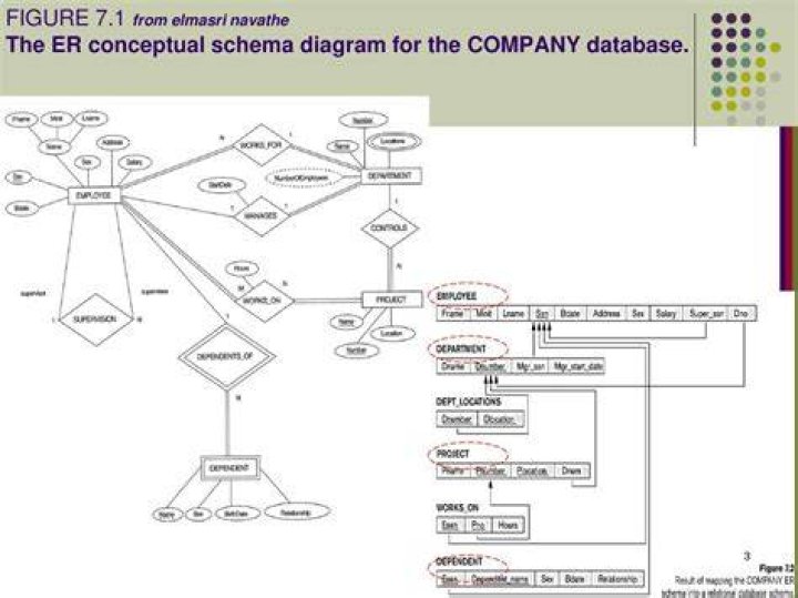 What is different between ER Diagram and Database Schema?