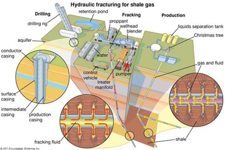 What is $\frac 1 n$ called?