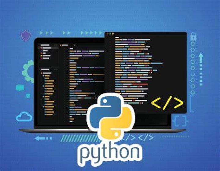What is python-minimal?