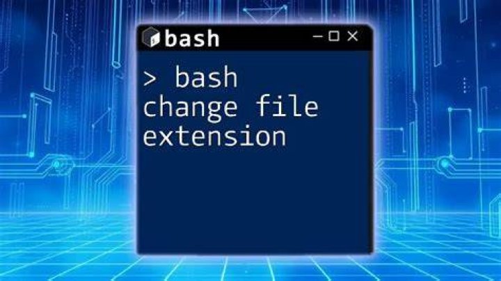 What is the Bash file extension?