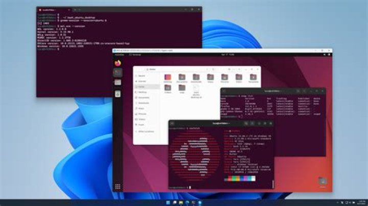 What is the best windows application emulator for Ubuntu 20.04?