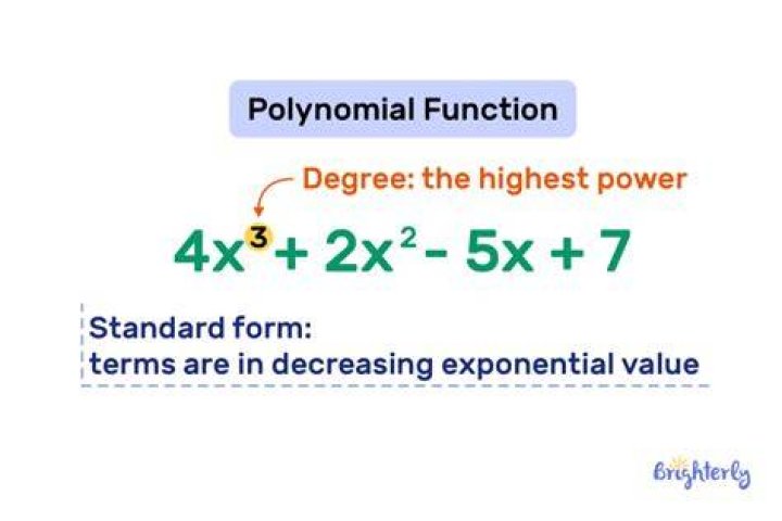 What is the difference between a polynomial and a function or can they be used interchangebly?