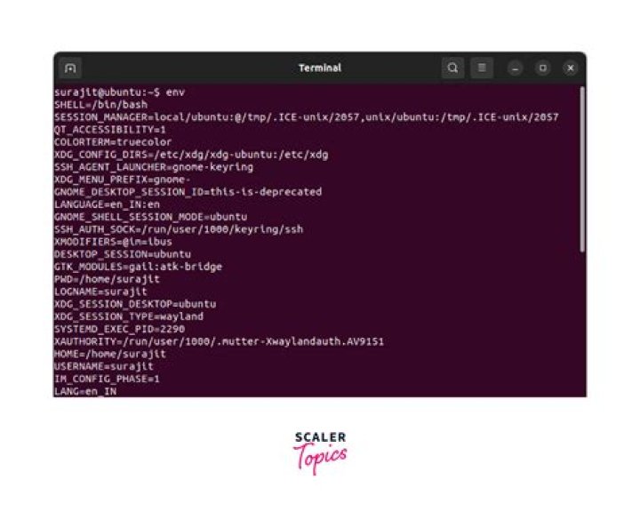 What is the difference between set, env, declare and export when setting a variable in a Linux shell?