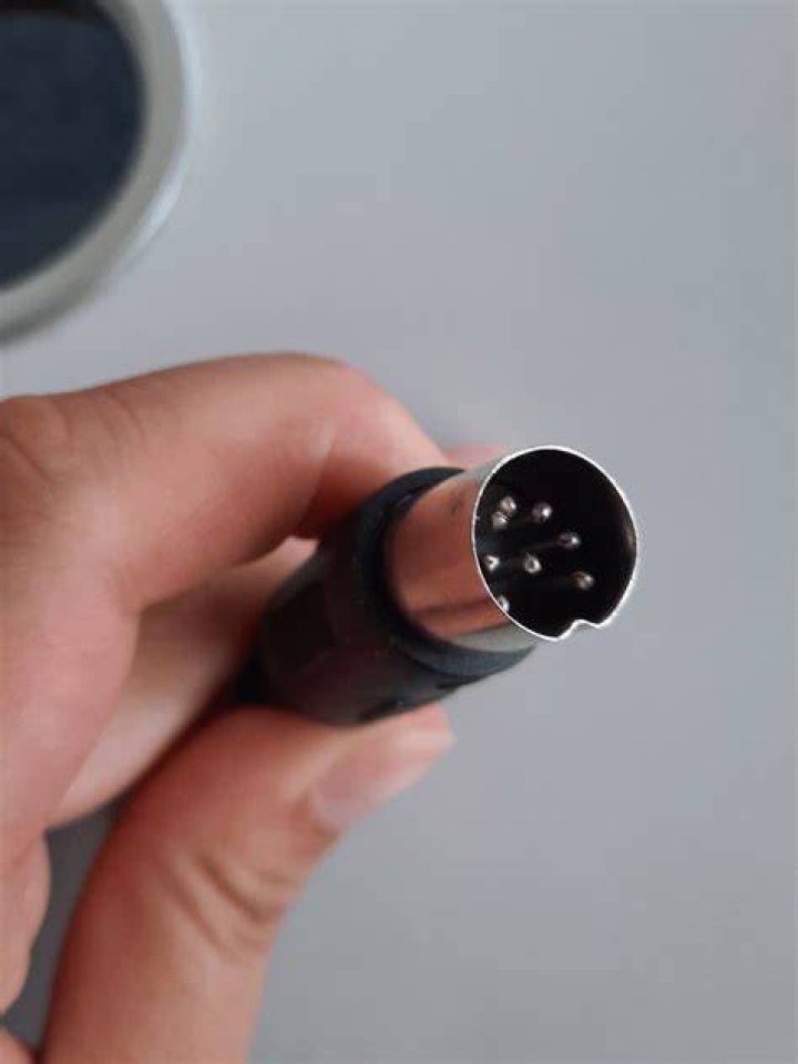 What is the end of this cable?