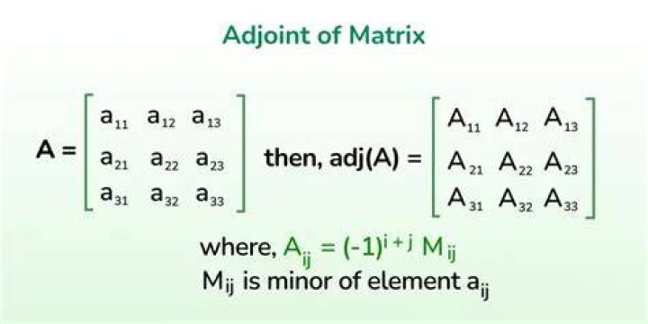What is the intuitive meaning of the adjugate matrix?