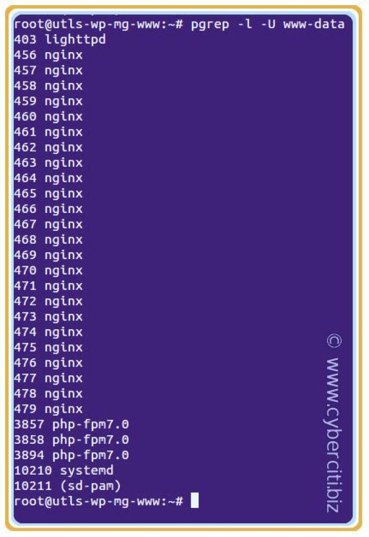 What is the meaning of using EUID?If RUID and EUID of a process is 1000, 0 and if we run any command the command is run as 1000 priviledge level,why?