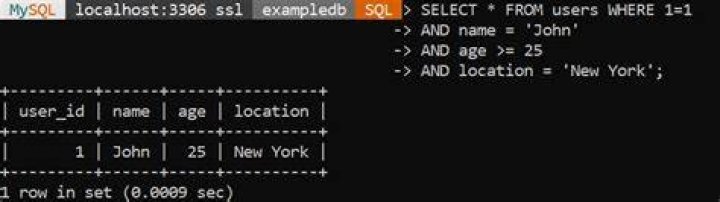 What is the purpose of using WHERE 1=1 in SQL statements? [duplicate]