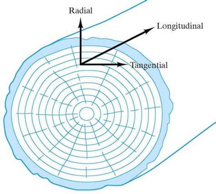 What is the radial direction?