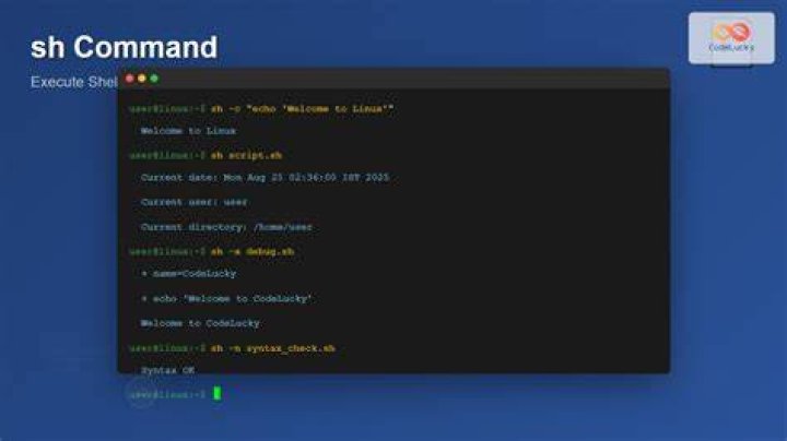 What is the sh -c command?