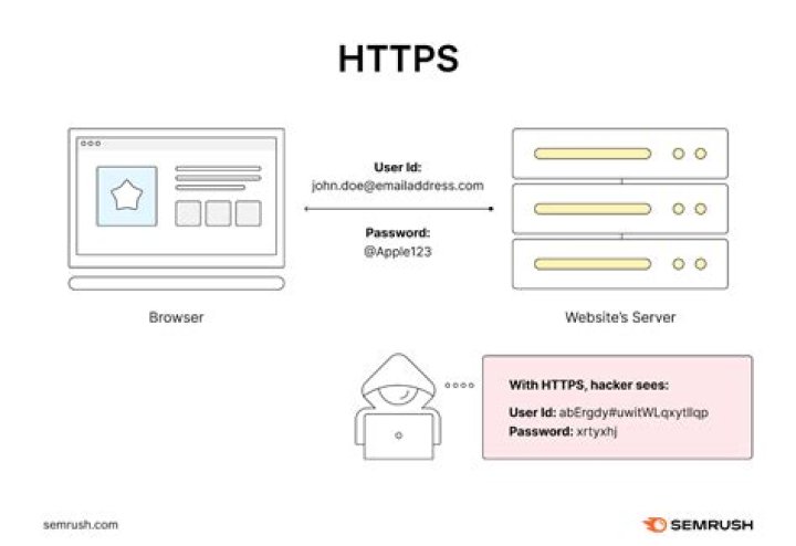 What is the www-data user?