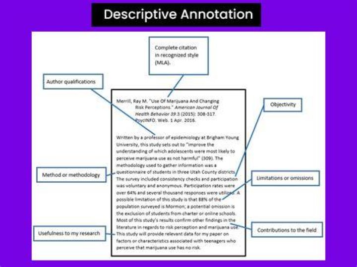 what is _Use_decl_annotations_ meaning