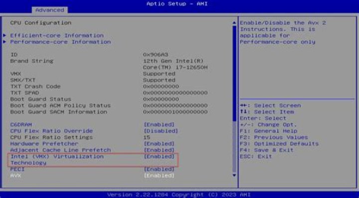 What is VT-x? Why it is not enabled in few machine by default