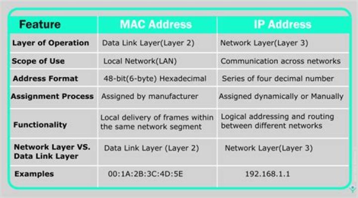 What layer of the TCP/IP do MAC addresses and IP addresses belong to?