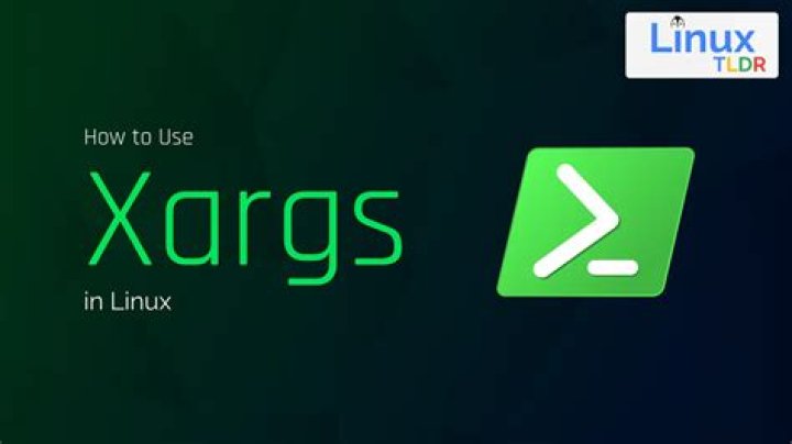 What xargs does exactly?