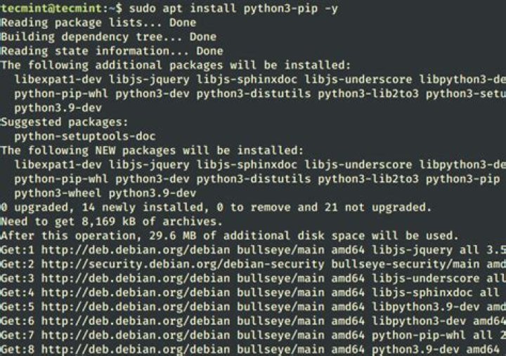 When using sudo to run pip 