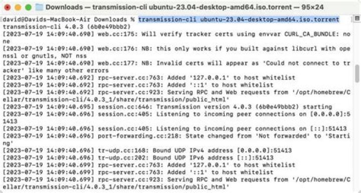 Where are transmission-cli download saved?