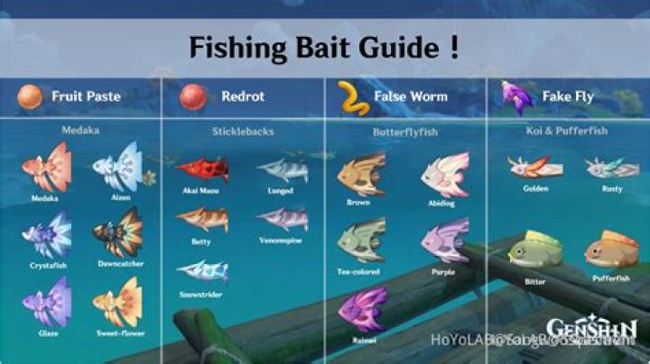Where can I find a large number of fish?