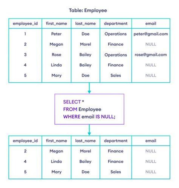Where does the NULL in function output come from?