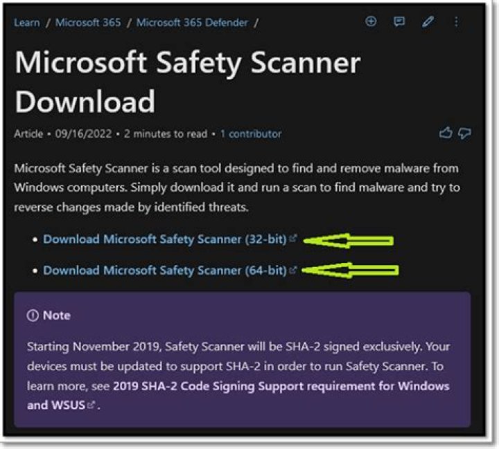 Which File Did Microsoft Safety Scanner Fix?