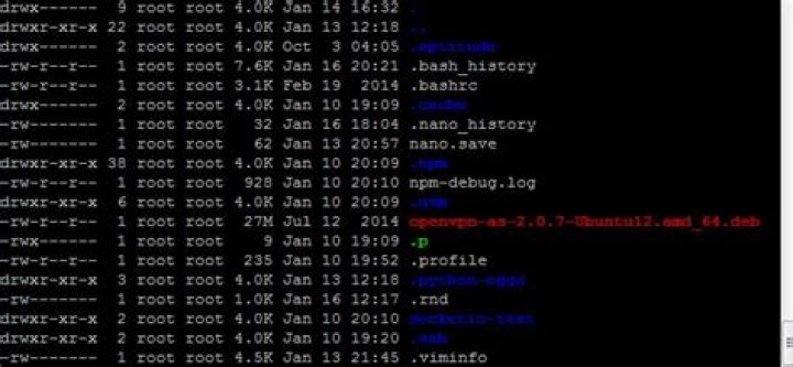 Why do I not see my /bin, /var, (etc.) directories in my root partition?