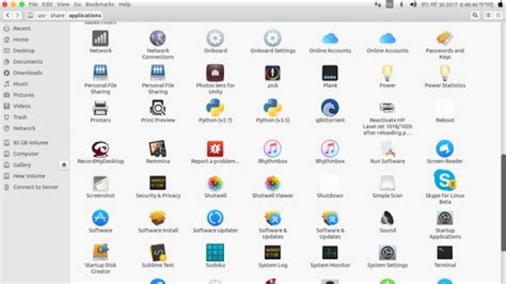 Why do some applications have two icons in /usr/share/application?