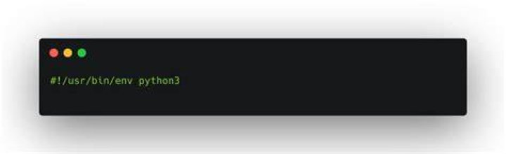 Why does Python in Linux require the line #!/usr/bin/python?