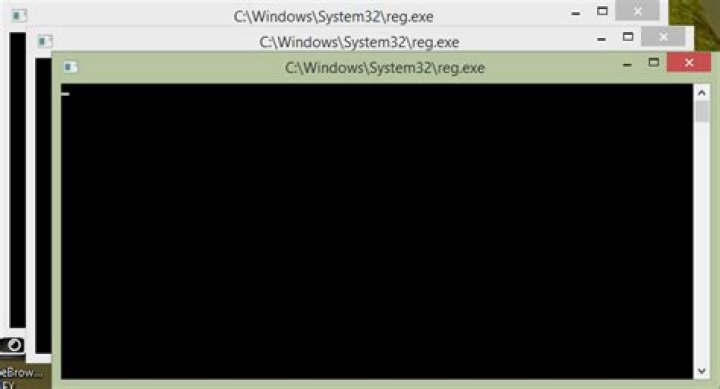 Why does reg.exe runs three processes when my Windows 8 starts up?