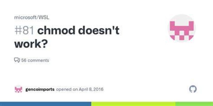 Why doesn't chmod work in this case?