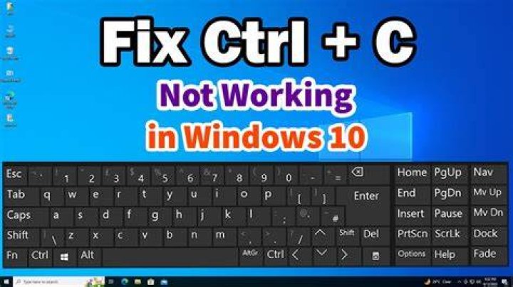 Why doesn't Ctrl-C kill the Terminal itself?