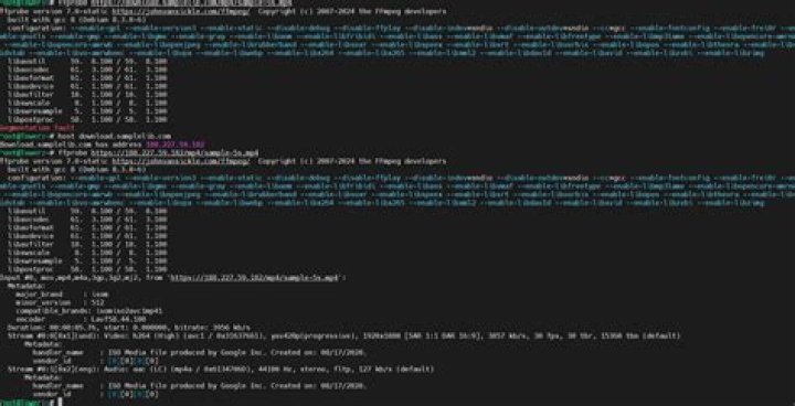 Why is FFmpeg suddenly throwing “Segmentation fault: 11” errors and creating output files with only “ftypisomisomiso2avc1mp4freemdat” as content?