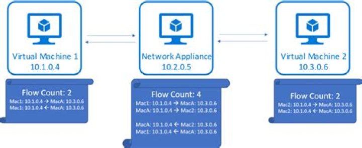 Why is my VM running so slow?
