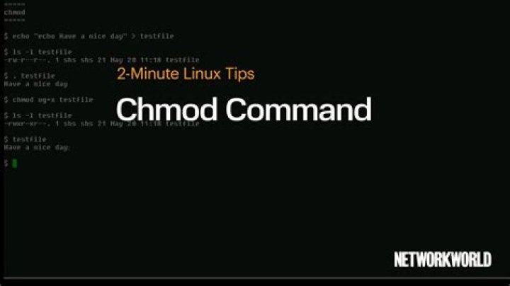 Why isn't `chmod` command functioning in Kali Linux 2020?