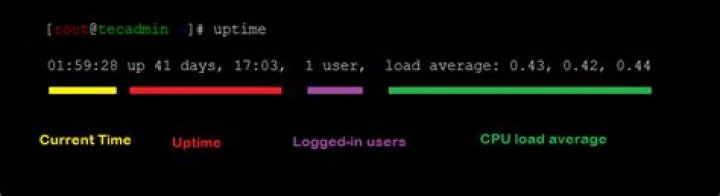 Why there are two users showing in uptime command results?
