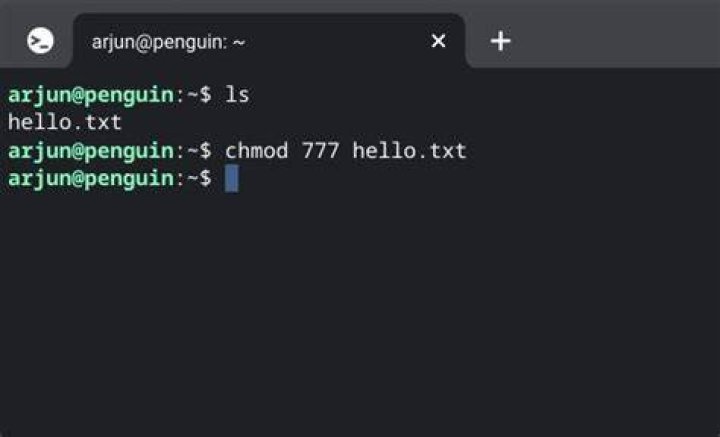 Why wouldn't one just use chmod 777?