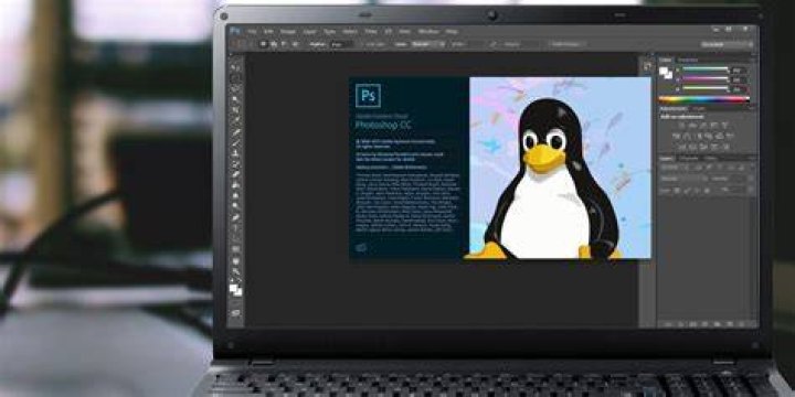 Will Photoshop work on Ubuntu?