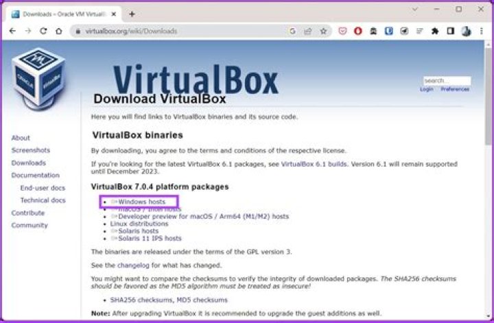 Windows 10, running as VirtualBox guest, does not see USB flash drive
