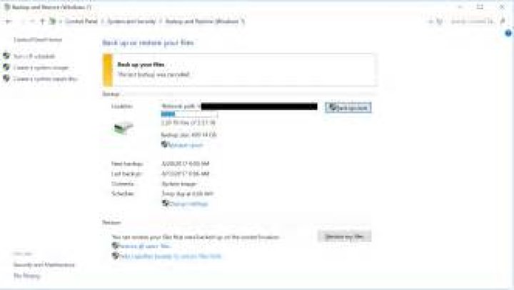 Windows Block Level Backup Service hogging up network