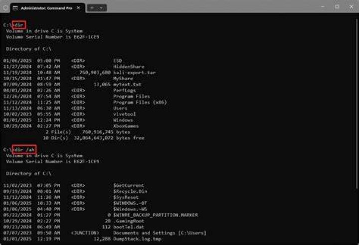 windows command prompt dir /q returns 