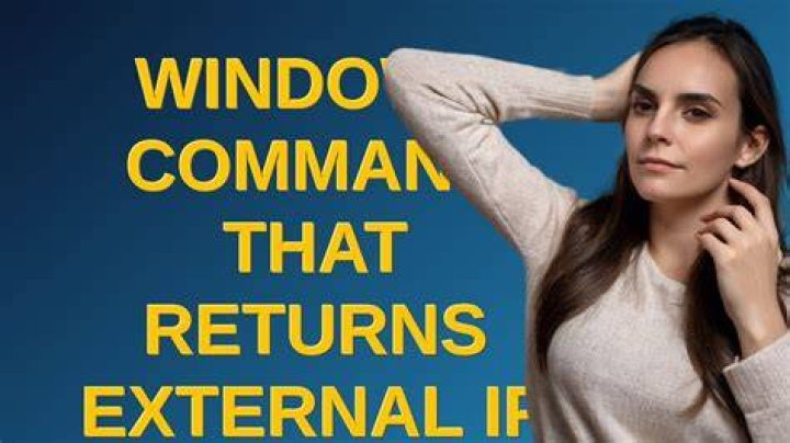 Windows command that returns external IP