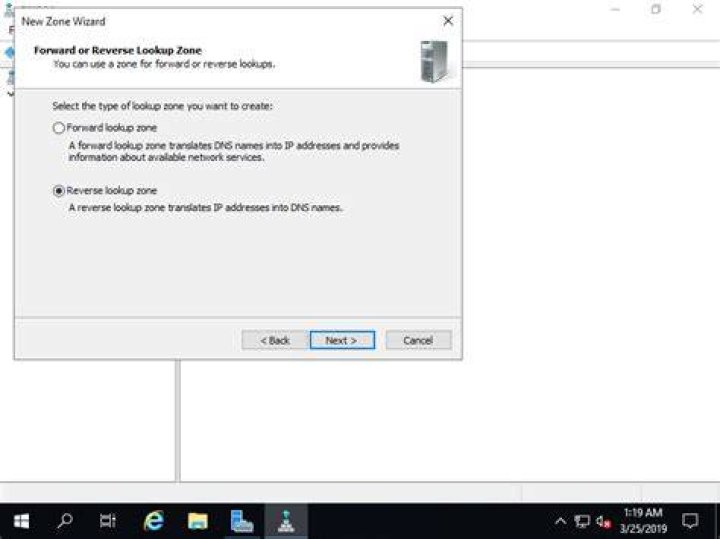 Windows Server 19 DNS Reverse Lookup Zone