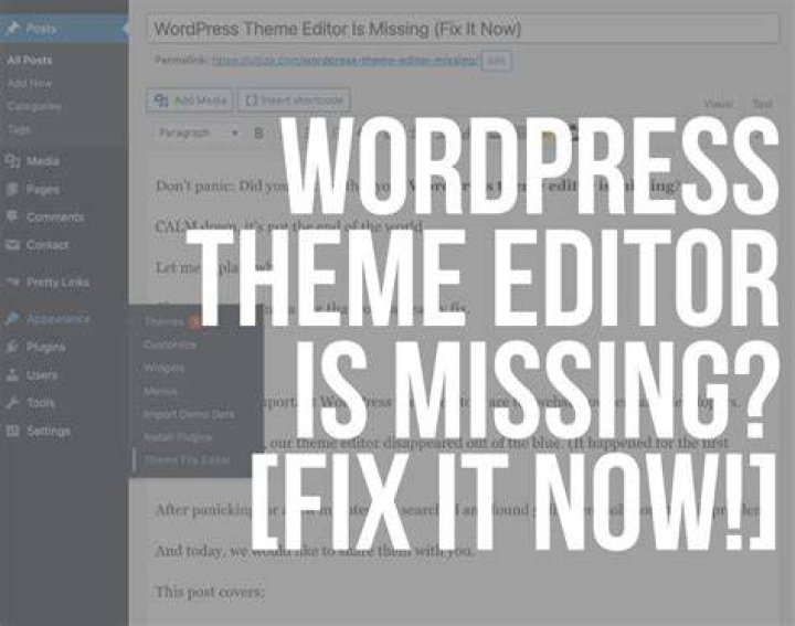 WordPress theme editor is missing