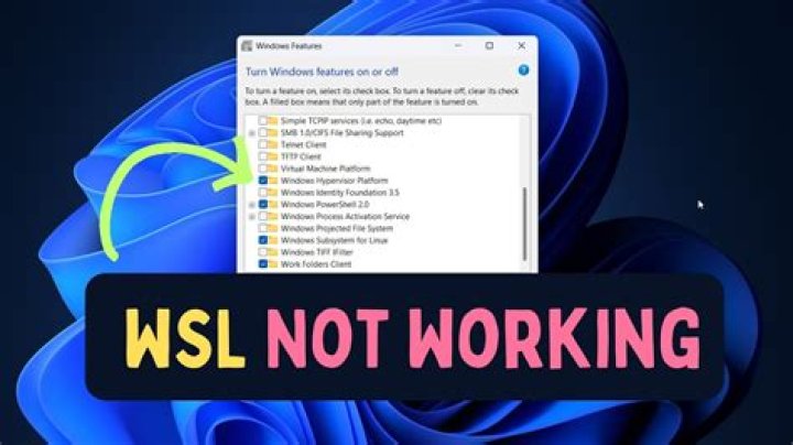 wsl does not have --mount option. So how do I mount a drive using wsl?