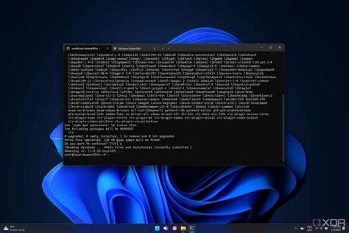 WSL Nano scrolling up to see terminal