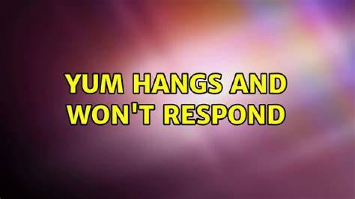 yum hangs and won't respond